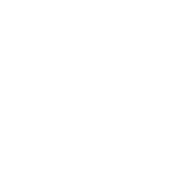 Item document